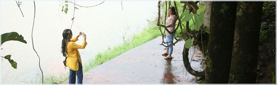 banner2